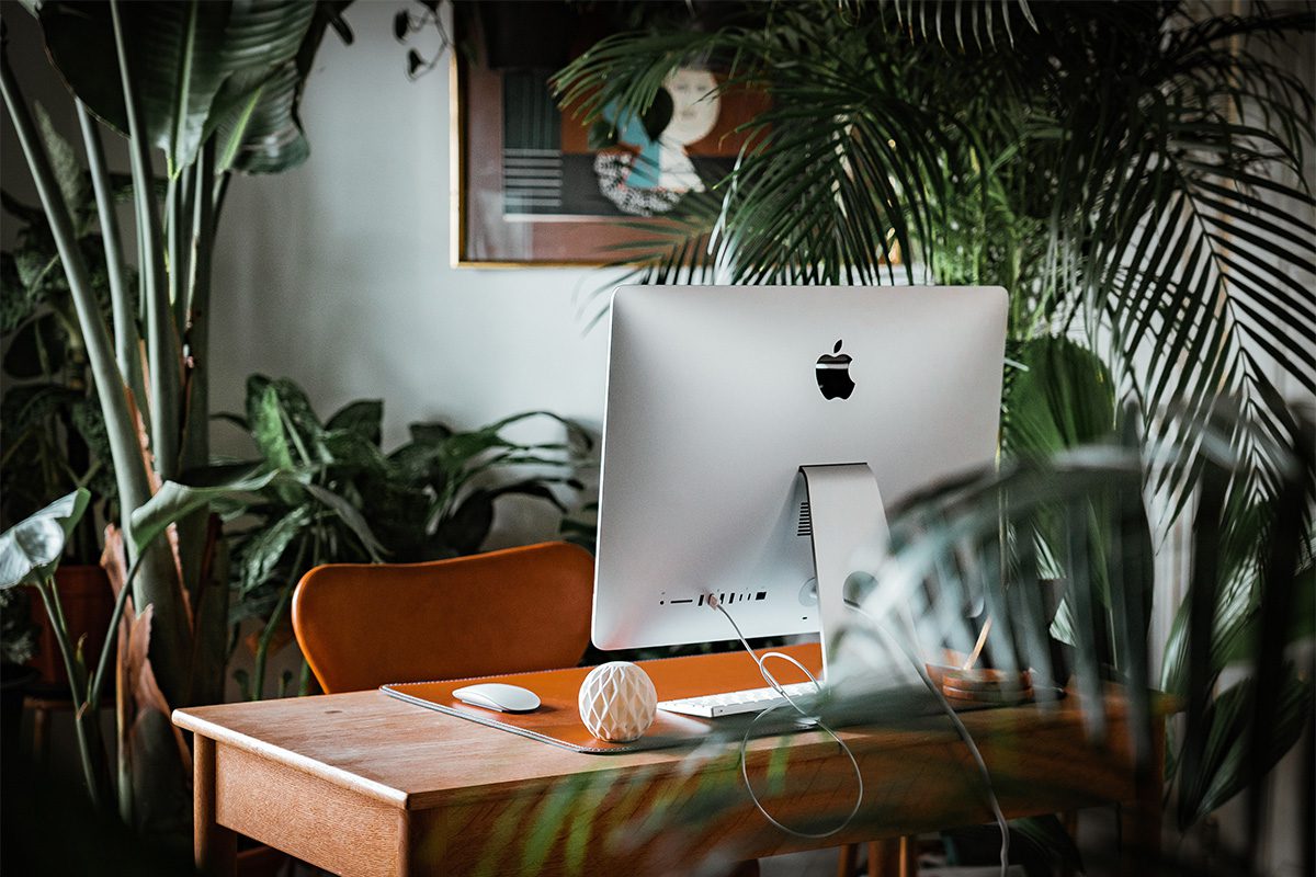 computer desk with plants computer desk with plants